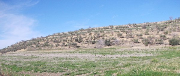 terreno agricolo in vendita a Foggia in zona Centro Città