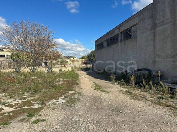 terreno agricolo in vendita a Foggia in zona Villaggio Artigiani