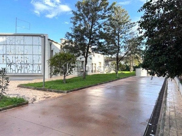 pentavano in vendita a Foggia in zona Macchia Gialla