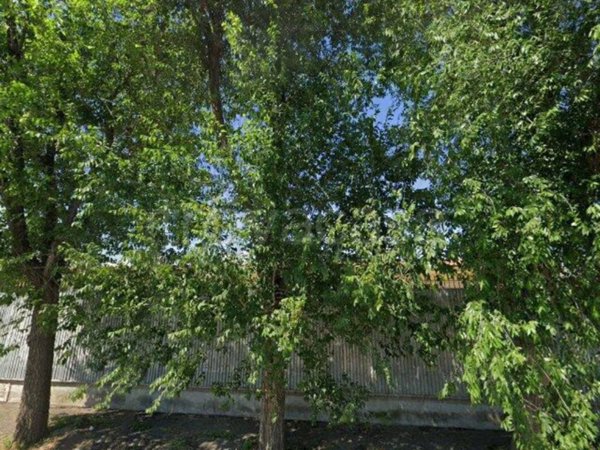 appartamento in vendita a Foggia in zona Rione Diaz