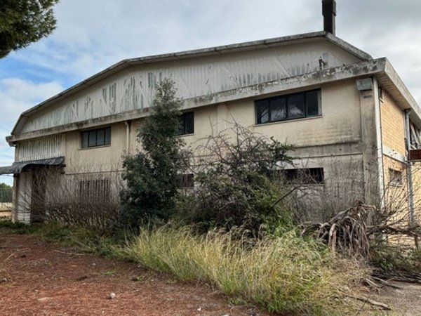 capannone in vendita a Foggia in zona San Ciro