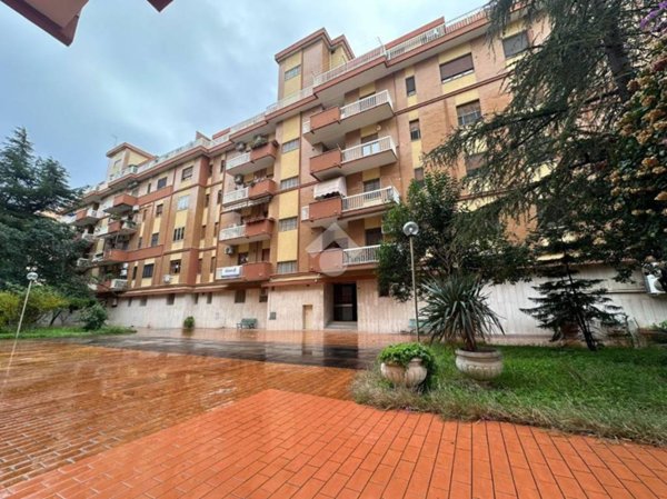 appartamento in vendita a Foggia in zona Immacolata / San Pio X