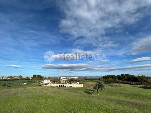 pentavano in vendita a Foggia