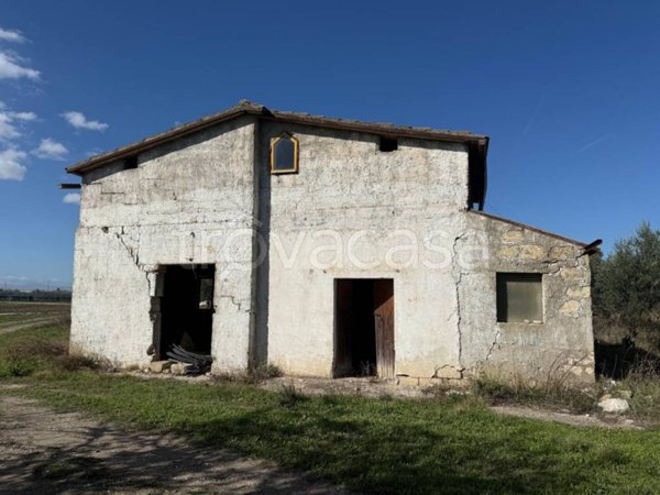 terreno agricolo in vendita a Foggia