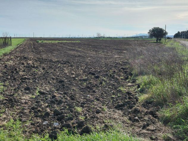 terreno agricolo in vendita a Foggia in zona Cervaro