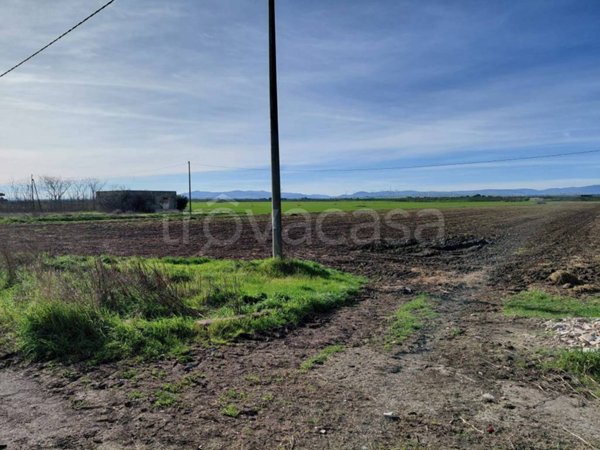 terreno agricolo in vendita a Foggia in zona Cervaro
