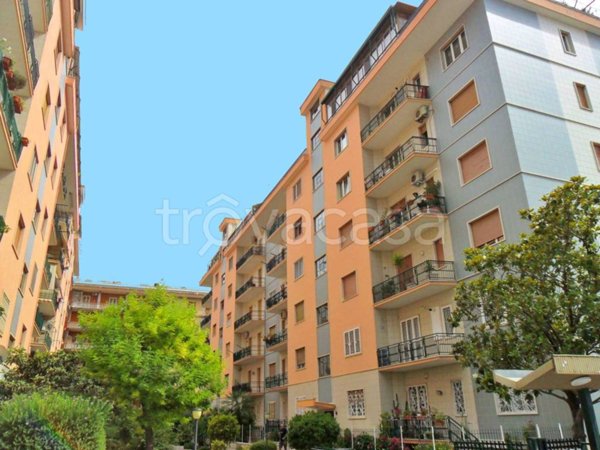 appartamento in vendita a Foggia in zona Immacolata / San Pio X