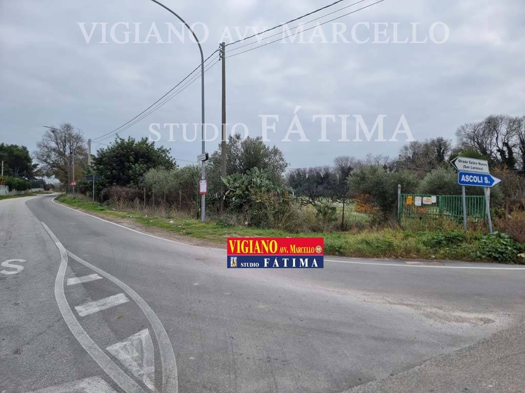 terreno agricolo in vendita a Foggia