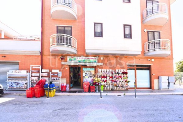 negozio in vendita a Foggia in zona CEP