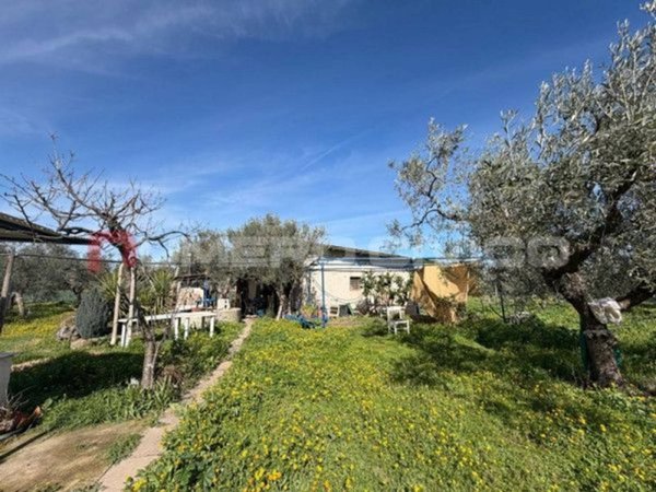 terreno agricolo in vendita a Foggia