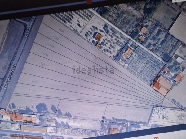 terreno agricolo in vendita a Foggia in zona Camporeale