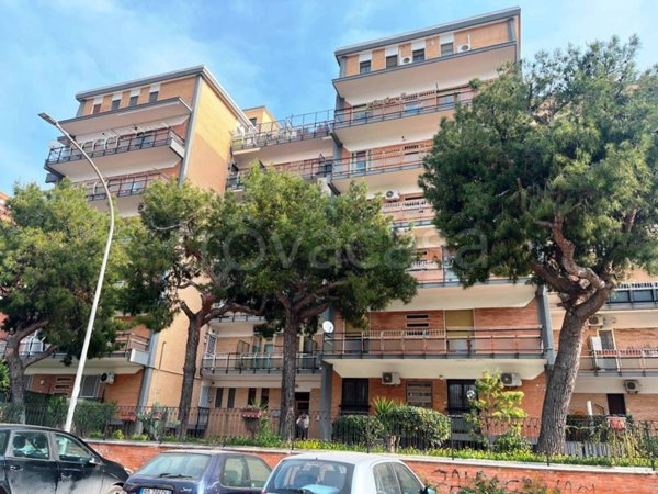 appartamento in vendita a Foggia