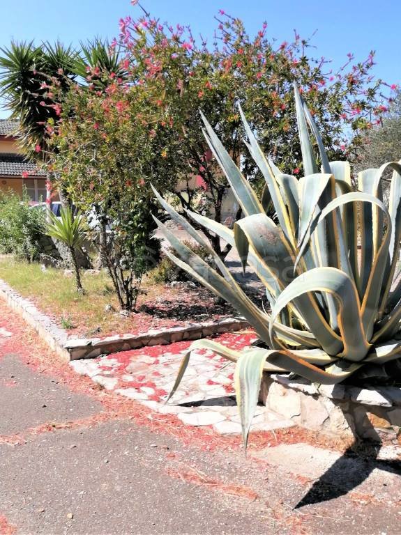 casa indipendente in vendita a Foggia