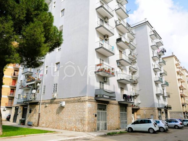 appartamento in vendita a Foggia in zona San Ciro