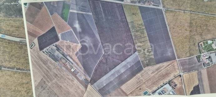terreno agricolo in vendita a Foggia