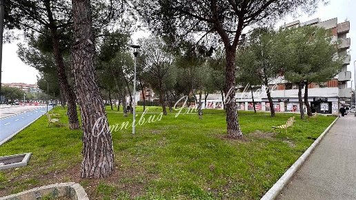 appartamento in vendita a Foggia in zona Camporeale