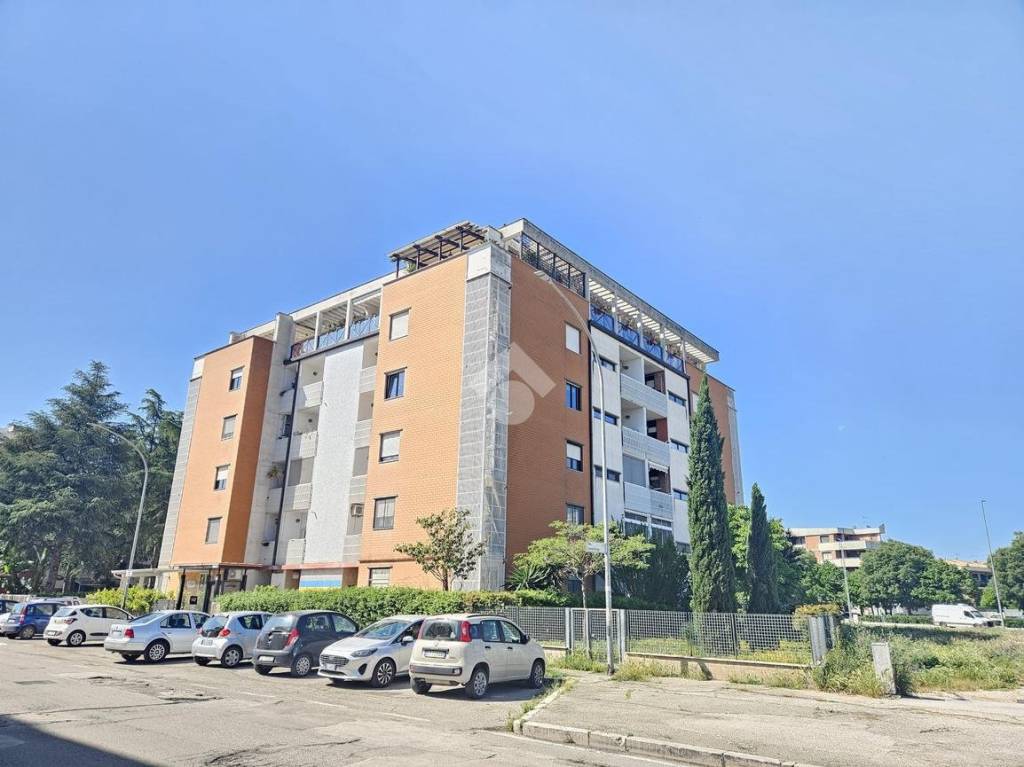 appartamento in vendita a Foggia in zona Macchia Gialla