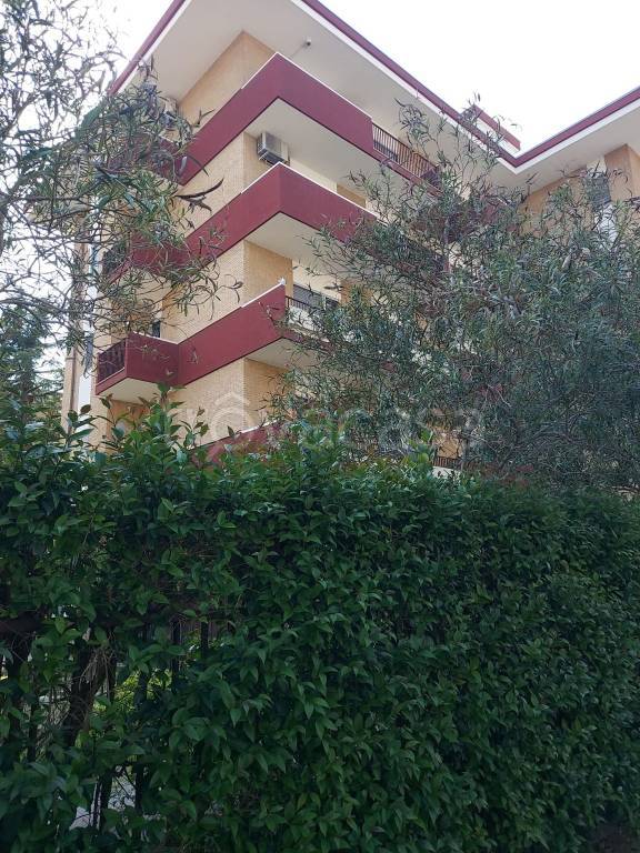 appartamento in vendita a Foggia