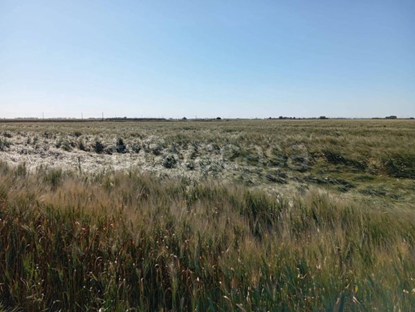 terreno agricolo in vendita a Foggia in zona Villaggio Artigiani