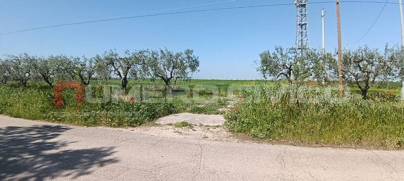 terreno agricolo in vendita a Foggia