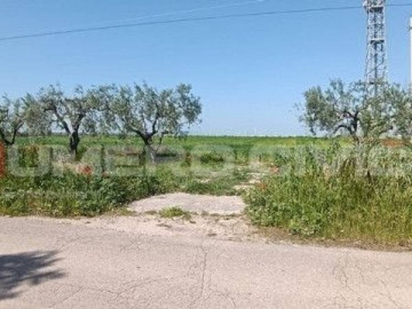 terreno agricolo in vendita a Foggia