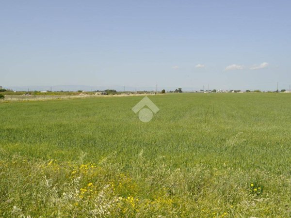 terreno agricolo in vendita a Foggia