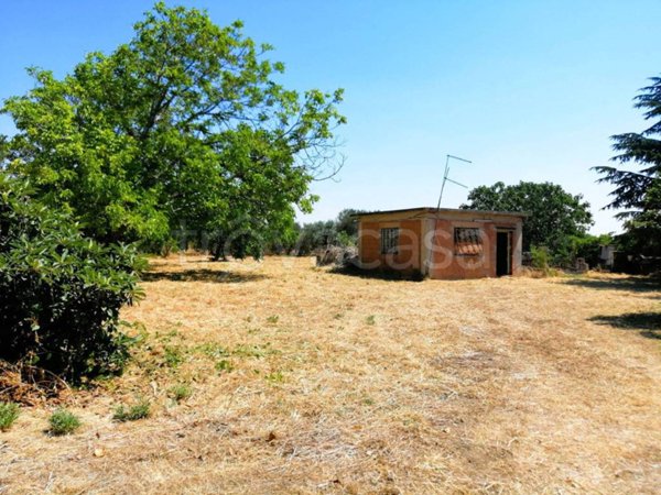 terreno agricolo in vendita a Foggia in zona Tavernola