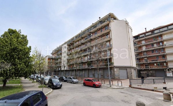 appartamento in vendita a Foggia in zona Macchia Gialla