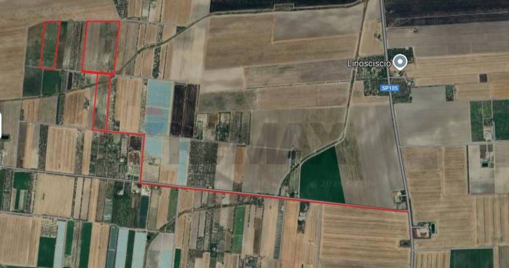 terreno agricolo in vendita a Foggia