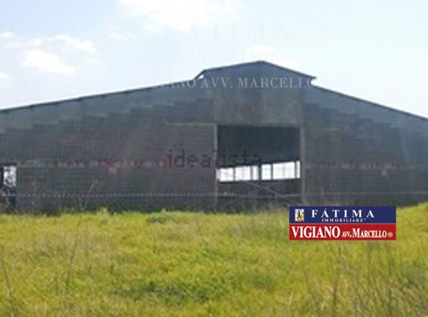 terreno in vendita a Foggia