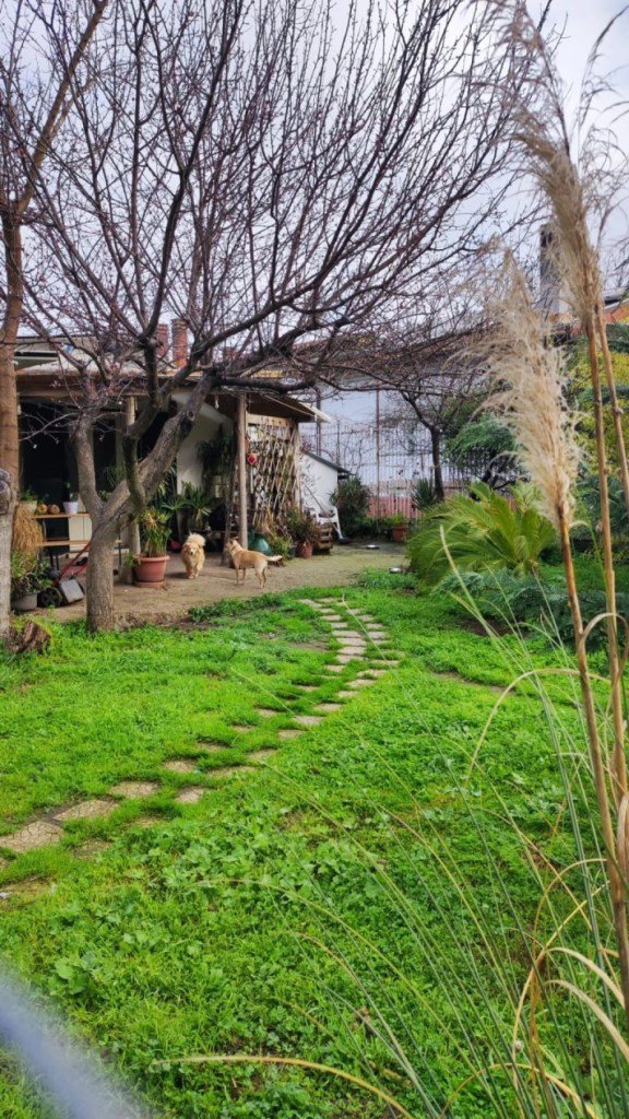 casa indipendente in vendita a Foggia
