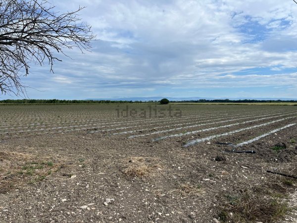 terreno in vendita a Foggia in zona Incoronata