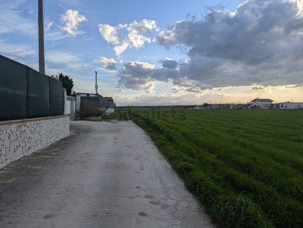 terreno in vendita a Foggia