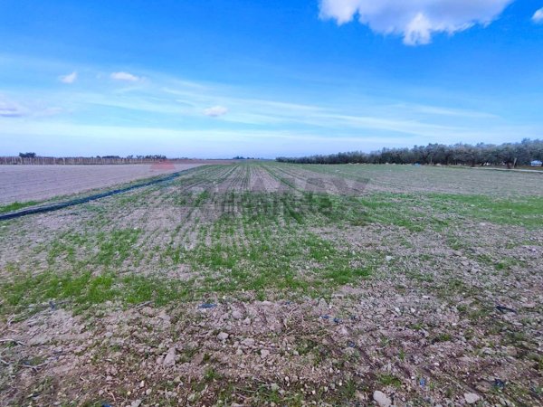 terreno in vendita a Foggia