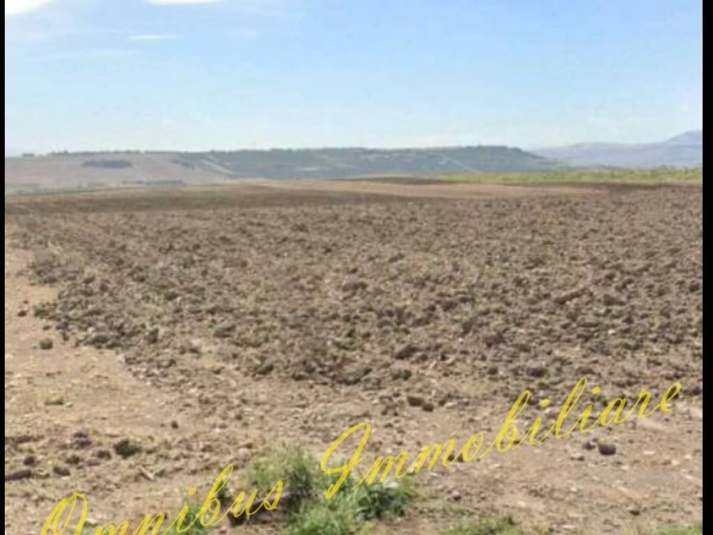 terreno agricolo in vendita a Foggia