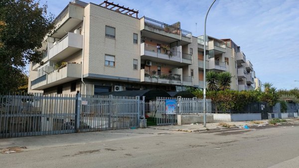 box auto in vendita a Foggia