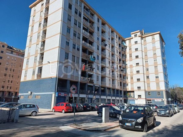 appartamento in vendita a Foggia
