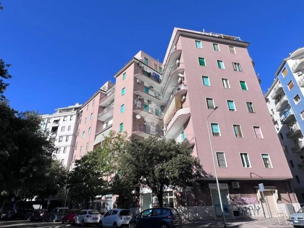 appartamento in vendita a Foggia