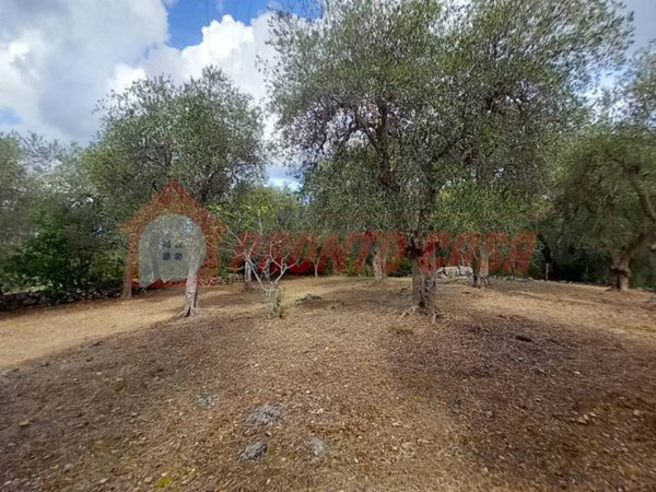 terreno agricolo in vendita ad Ischitella