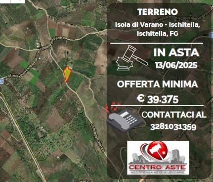 terreno agricolo in vendita ad Ischitella