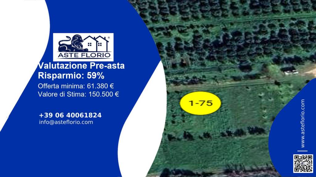 terreno agricolo in vendita ad Ischitella