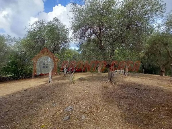 terreno agricolo in vendita ad Ischitella