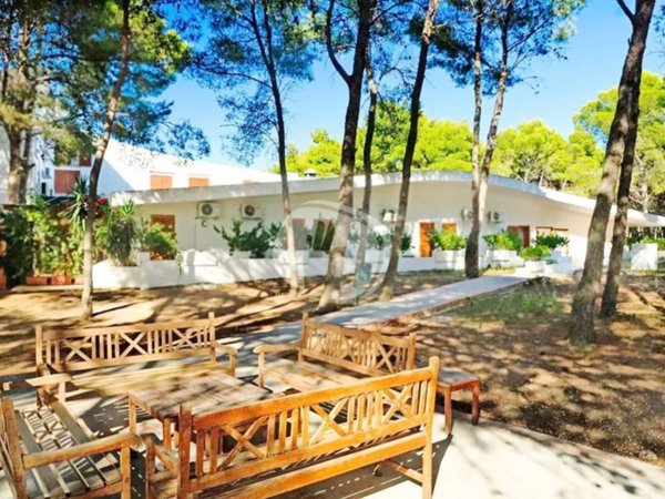 appartamento in vendita ad Isole Tremiti in zona Cretaccio