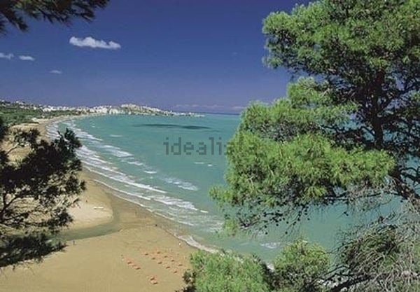 casa indipendente in vendita a Lesina