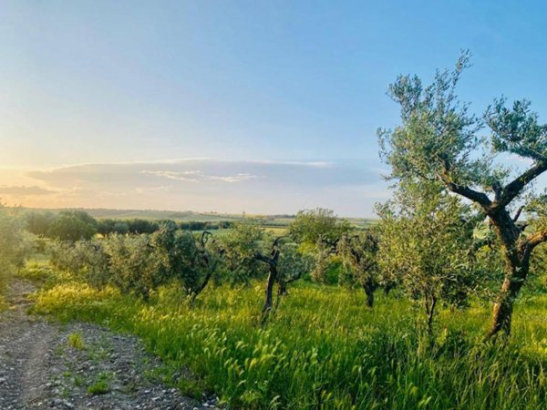 terreno agricolo in vendita a Lucera