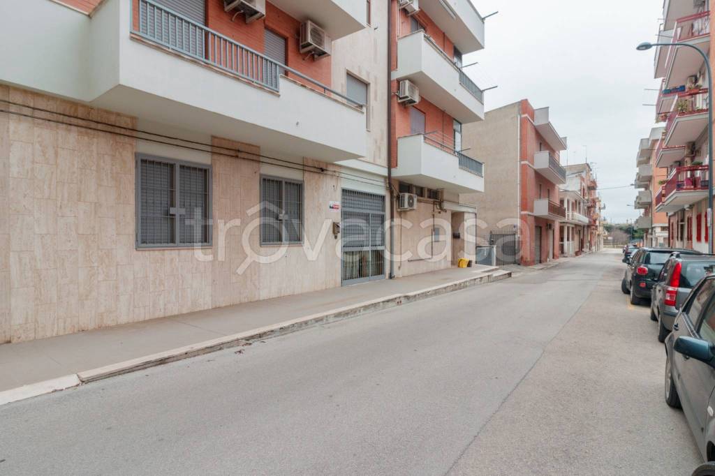 appartamento in vendita a Lucera