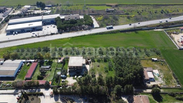 terreno agricolo in vendita a Lucera