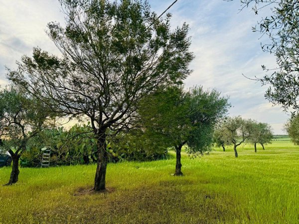 terreno agricolo in vendita a Lucera