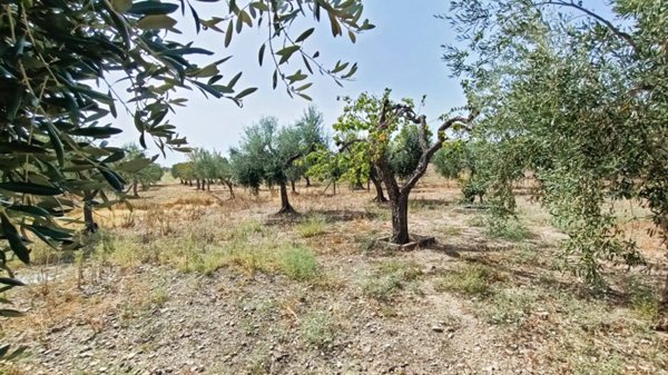 appartamento in vendita a Lucera