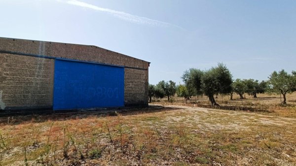 appartamento in vendita a Lucera